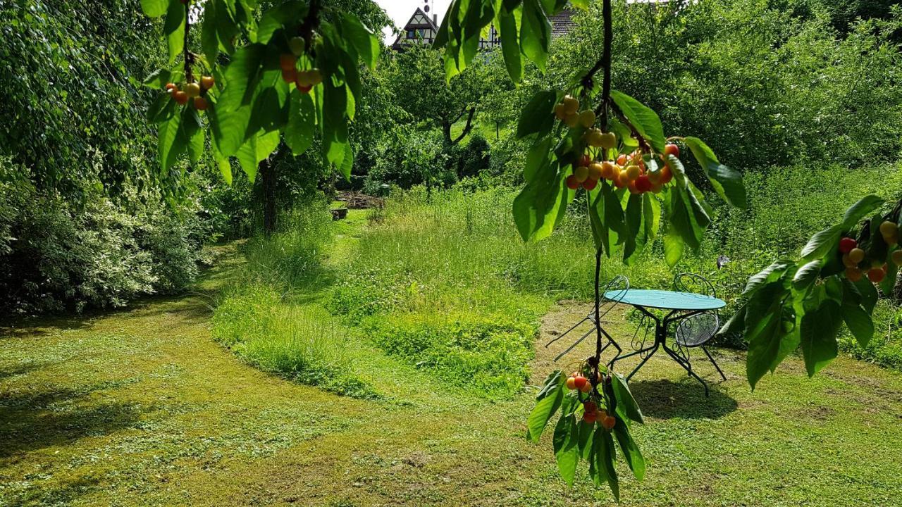Gite Au Petit Ruisseau-Etage Et Combles-Maison Alsacienne 4 Personnes 4 Nuitees Minimum Langensoultzbach Εξωτερικό φωτογραφία