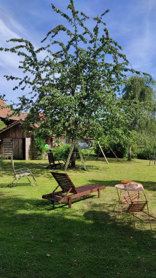 Gite Au Petit Ruisseau-Etage Et Combles-Maison Alsacienne 4 Personnes 4 Nuitees Minimum Langensoultzbach Εξωτερικό φωτογραφία