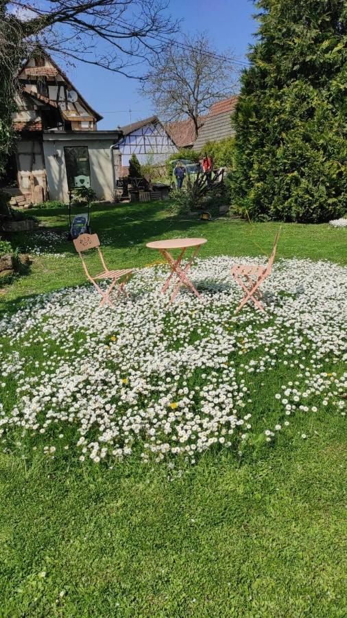 Gite Au Petit Ruisseau-Etage Et Combles-Maison Alsacienne 4 Personnes 4 Nuitees Minimum Langensoultzbach Εξωτερικό φωτογραφία