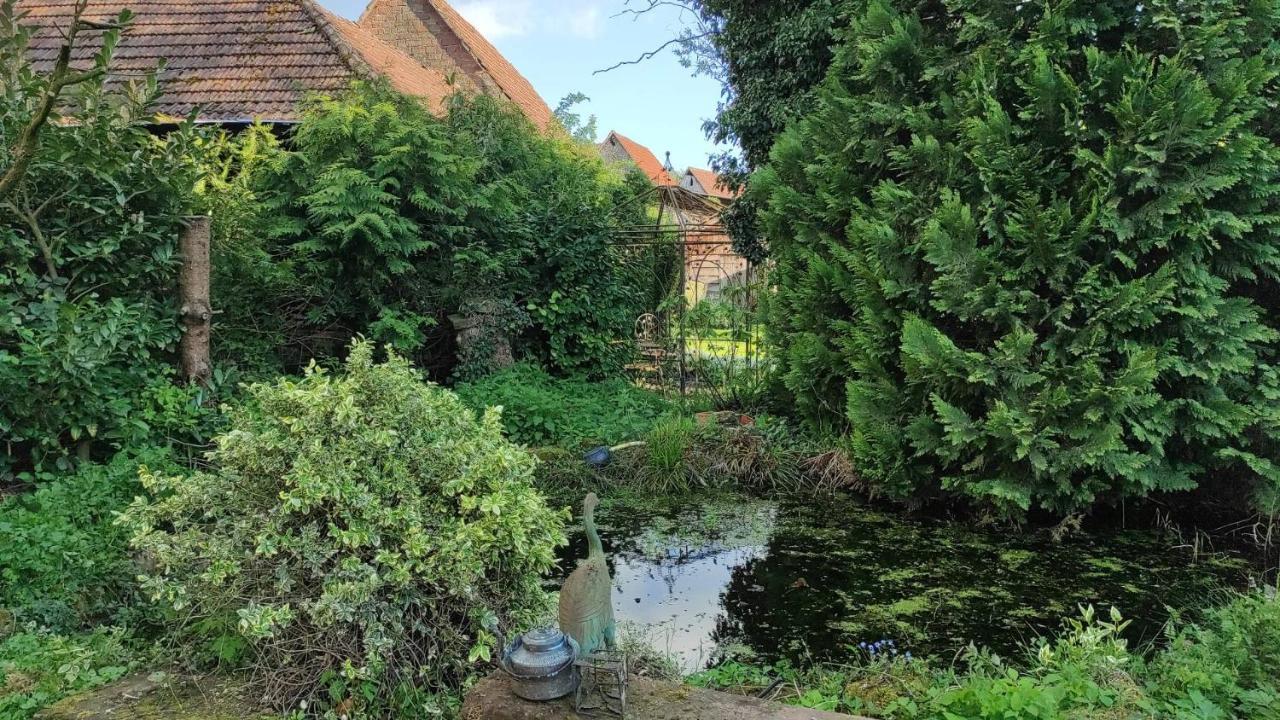Gite Au Petit Ruisseau-Etage Et Combles-Maison Alsacienne 4 Personnes 4 Nuitees Minimum Langensoultzbach Εξωτερικό φωτογραφία