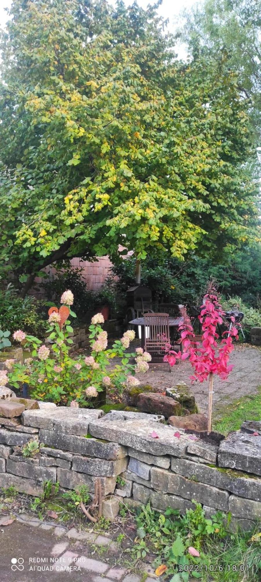 Gite Au Petit Ruisseau-Etage Et Combles-Maison Alsacienne 4 Personnes 4 Nuitees Minimum Langensoultzbach Εξωτερικό φωτογραφία